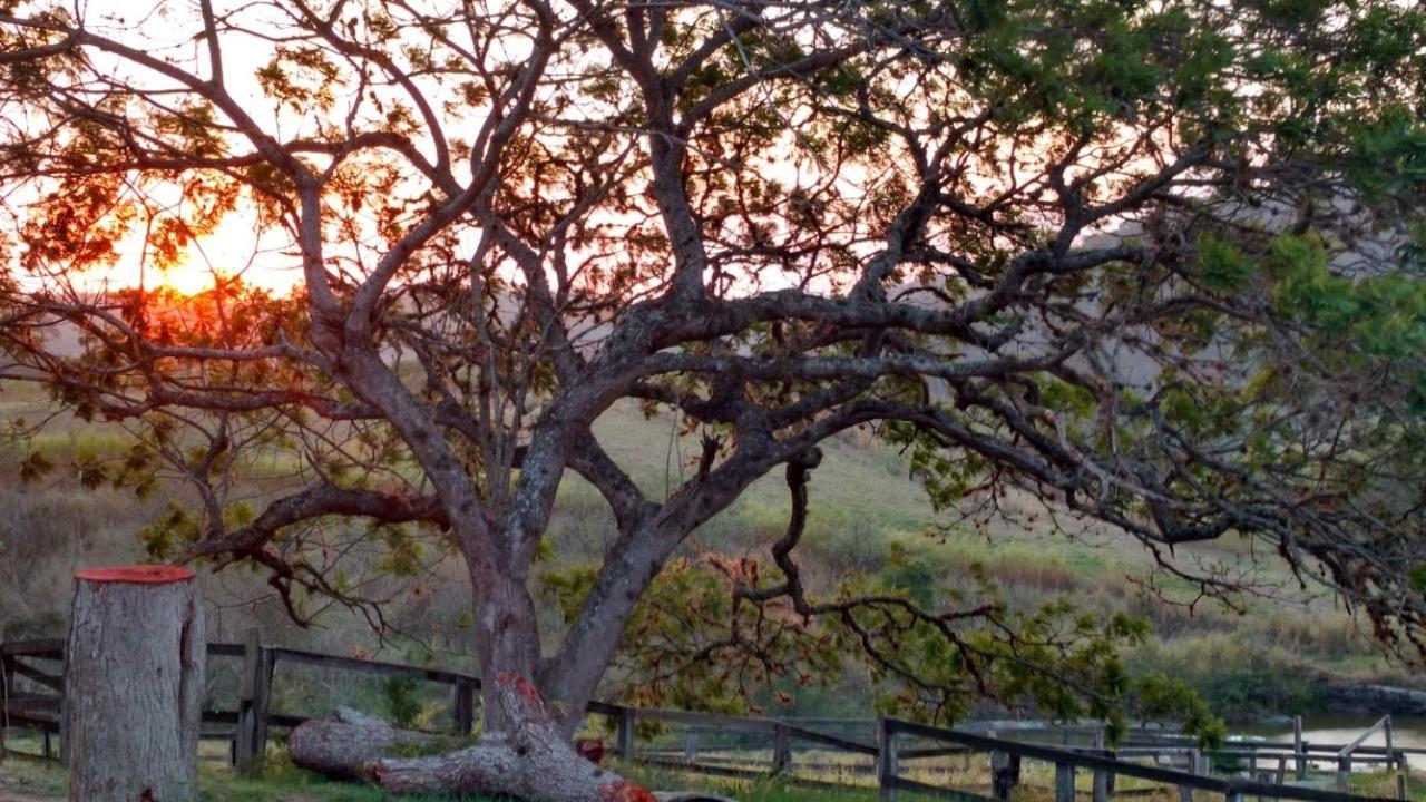 فيلا Fazenda Da Luz فاسوراس المظهر الخارجي الصورة